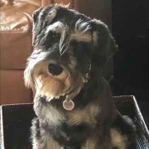 Meet your Posher, Sharon